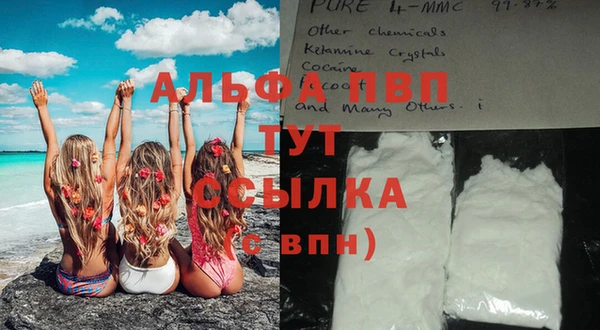гидра Алексеевка